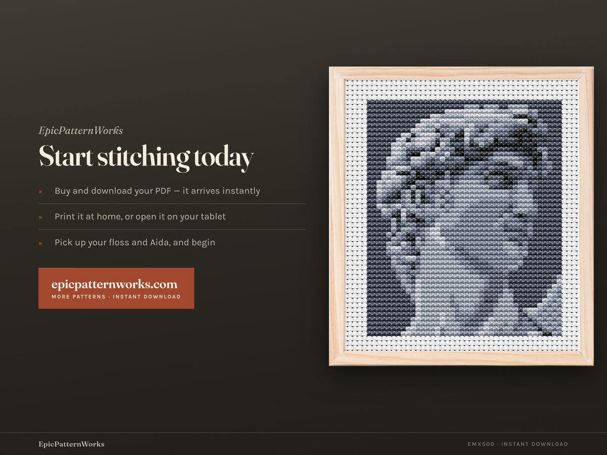 Monochrome cross stitch pattern of a classical marble statue head titled David, shown in shades of gray on dark background within a stitched border.