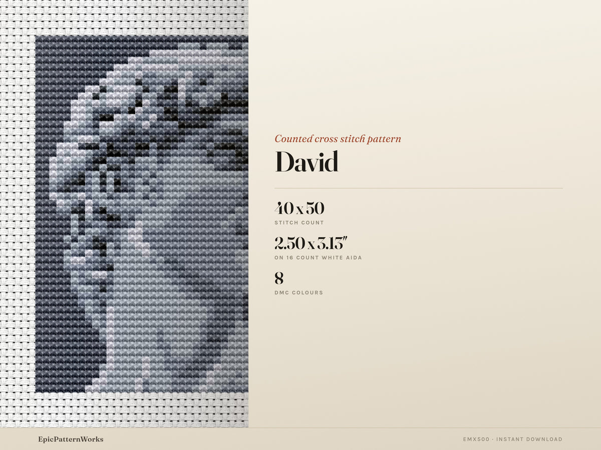 Monochrome cross stitch pattern of a classical marble statue head titled David, shown in shades of gray on dark background within a stitched border.
