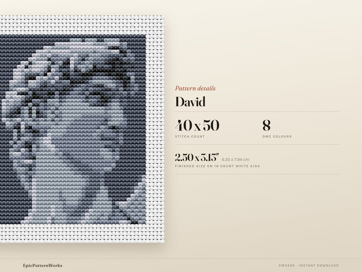 Monochrome cross stitch pattern of a classical marble statue head titled David, shown in shades of gray on dark background within a stitched border.