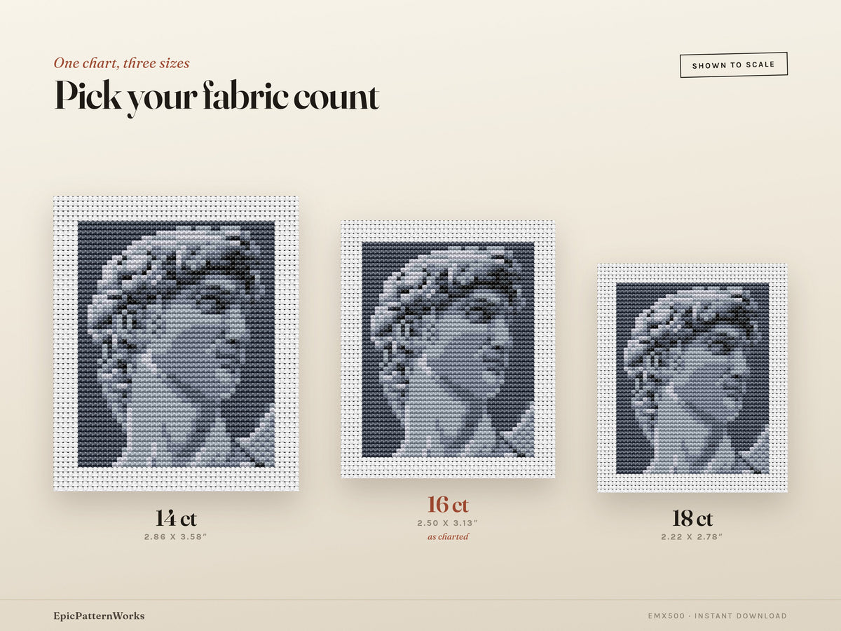 Monochrome cross stitch pattern of a classical marble statue head titled David, shown in shades of gray on dark background within a stitched border.