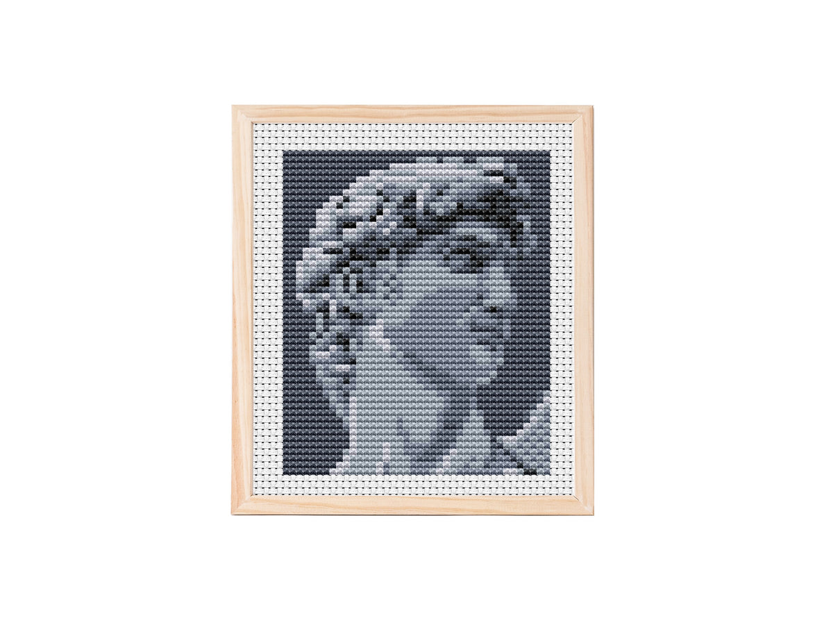 Monochrome cross stitch pattern of a classical marble statue head titled David, shown in shades of gray on dark background within a stitched border.