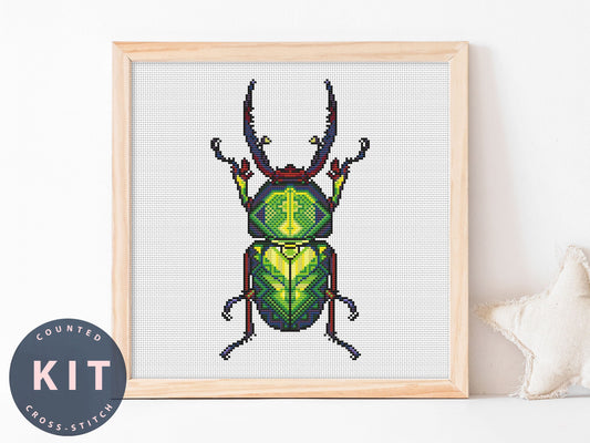 Bug Cross Stitch Kit: Lamprima Adolphinae Gestro, Beginner Counted Embroidery