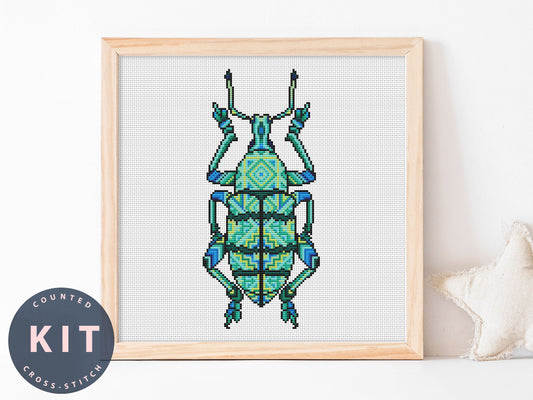 Bug Cross Stitch Kit: Eupholus Schoenherri Boisduval, Beginner DIY